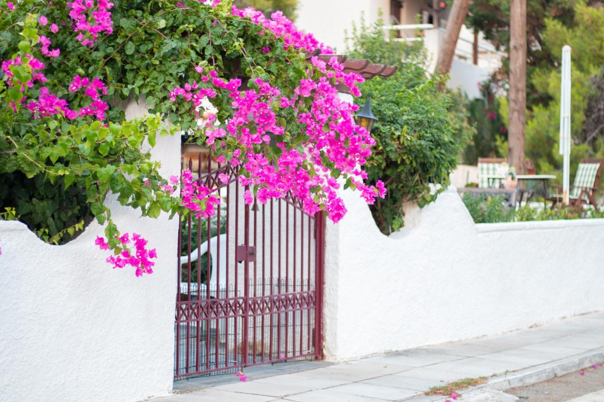 Seaview Apartment - Poros Relaxing Beachfront Flat Poros Town Exterior photo